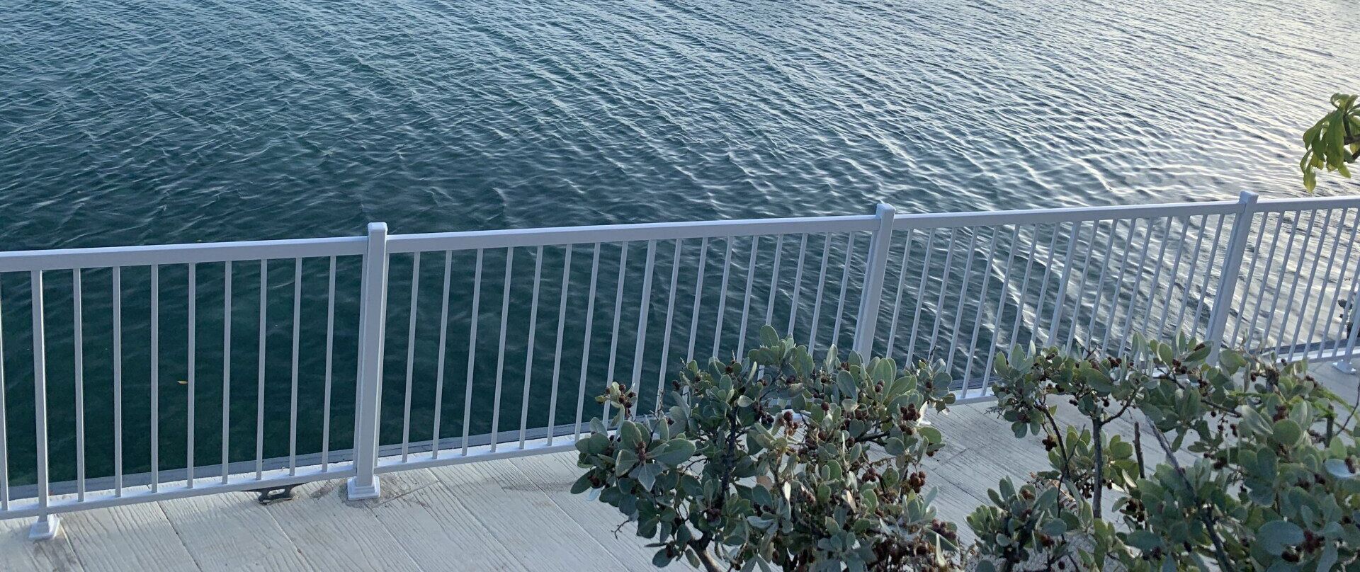 Une balustrade blanche surplombe une étendue d'eau aux vagues ondulantes et à la végétation luxuriante.