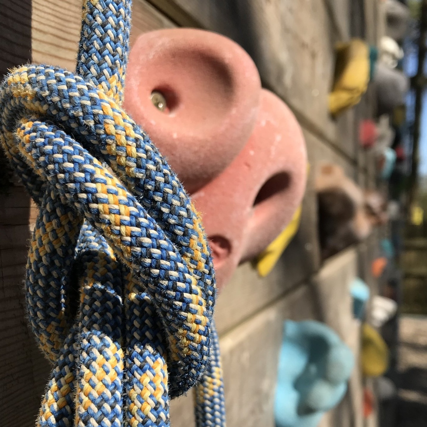 A group of people are standing in front of a climbing wall