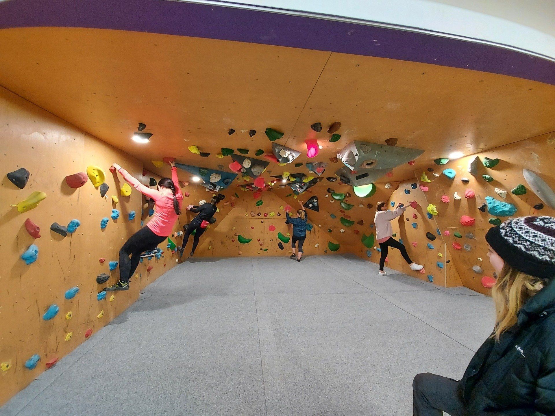 A group of people are climbing a climbing wall in a room.