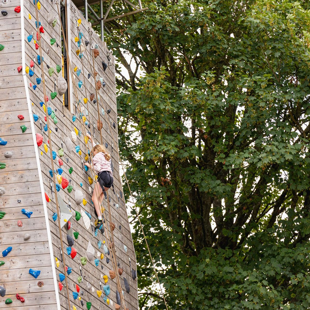 A group of people are climbing a rock wall