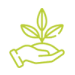 Uma mão segura uma planta com folhas crescendo nela.