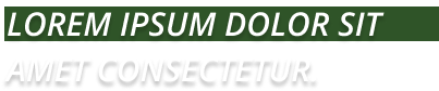 Uma faixa verde que diz lorem ipsum dolor sit