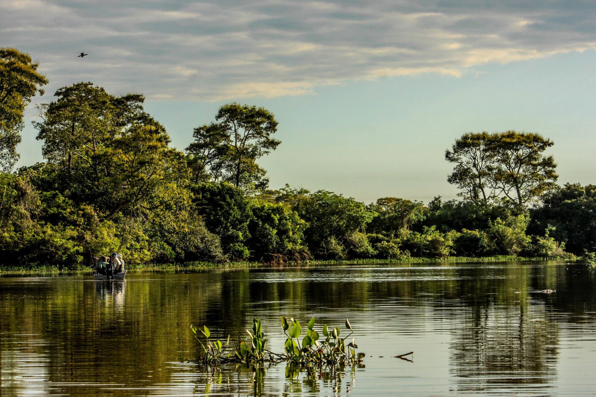 Um barco está flutuando em um rio cercado por árvores.