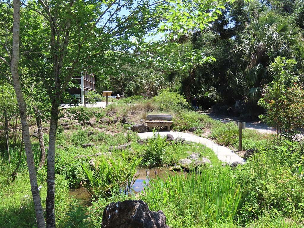 Lush garden with a curved path, small pond, stone steps, and dense green trees and shrubs