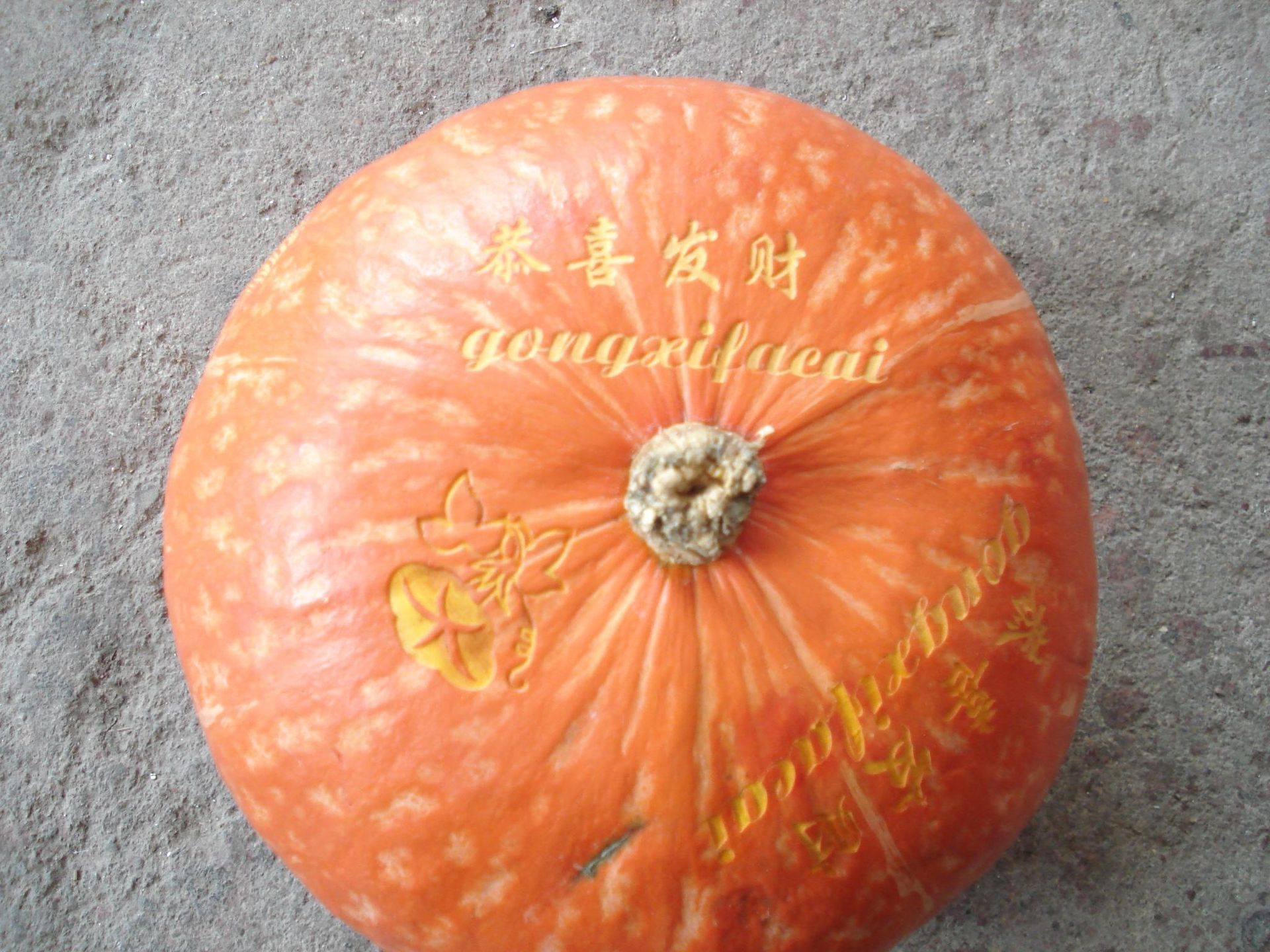 pumpkin laser engraved by a rabbit laser usa machine