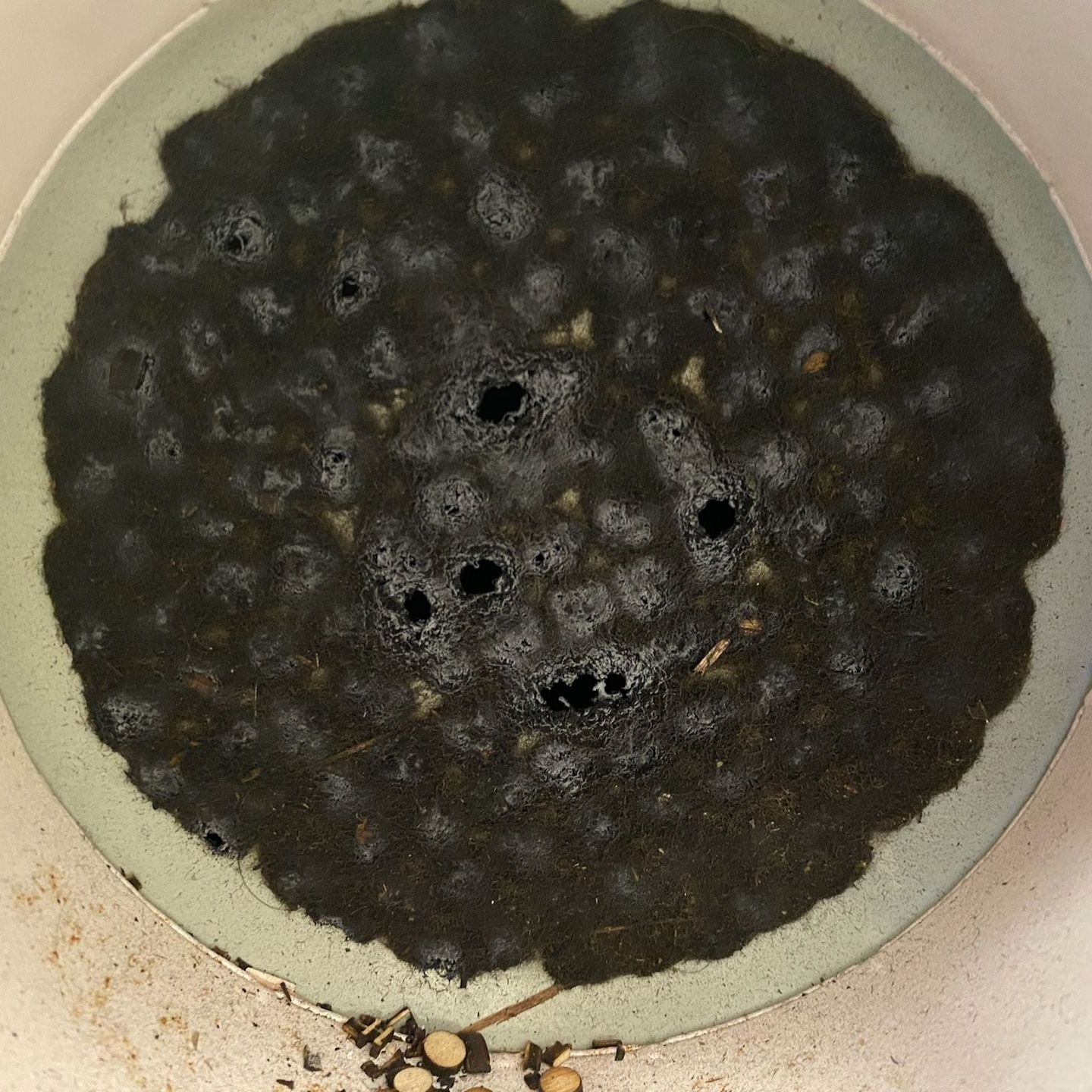 clogged and dirty vacuum table grate
