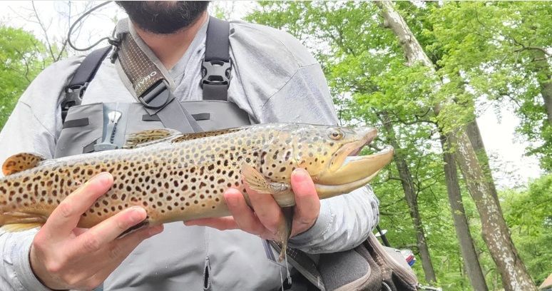 K's Outfitter owner David holding a large spotted fish outdoors near a forest stream