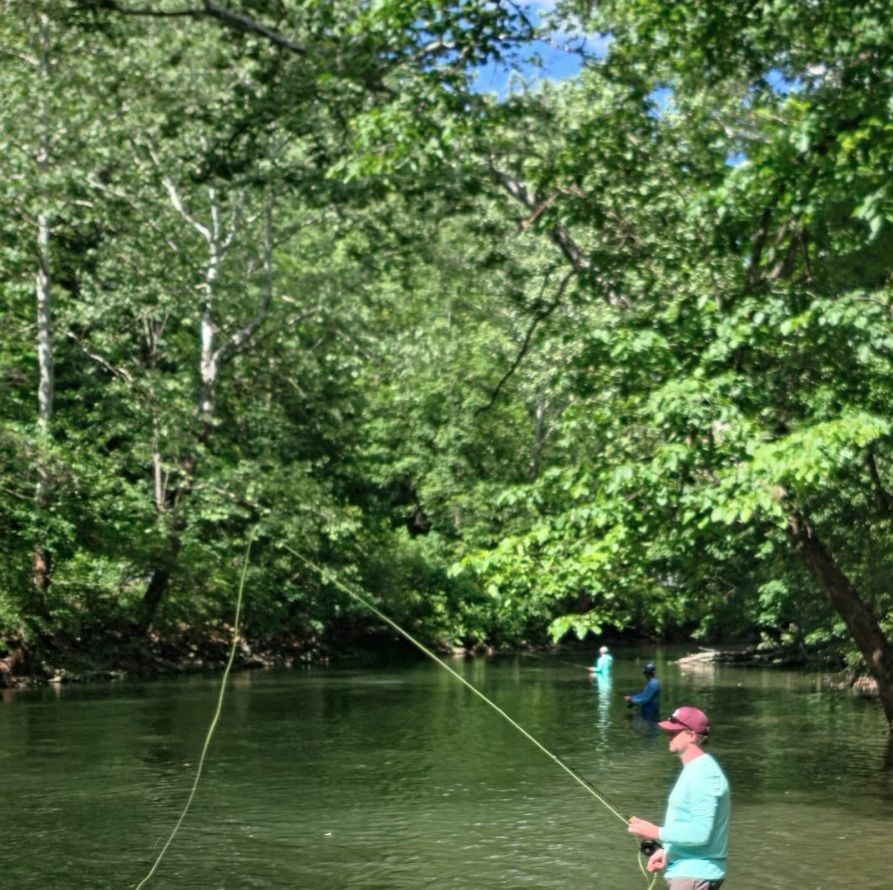 Two people fly fishing in a green forested river, one in the foreground with a rod.