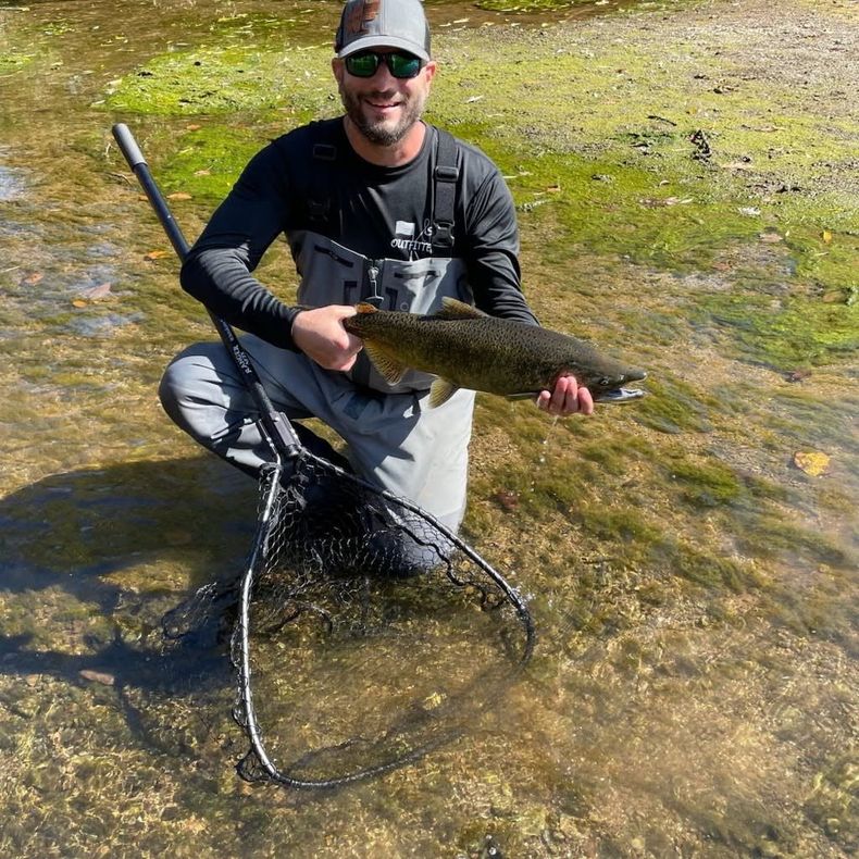 Man holding a large fish in a net while standing in shallow water on a grassy shoreline