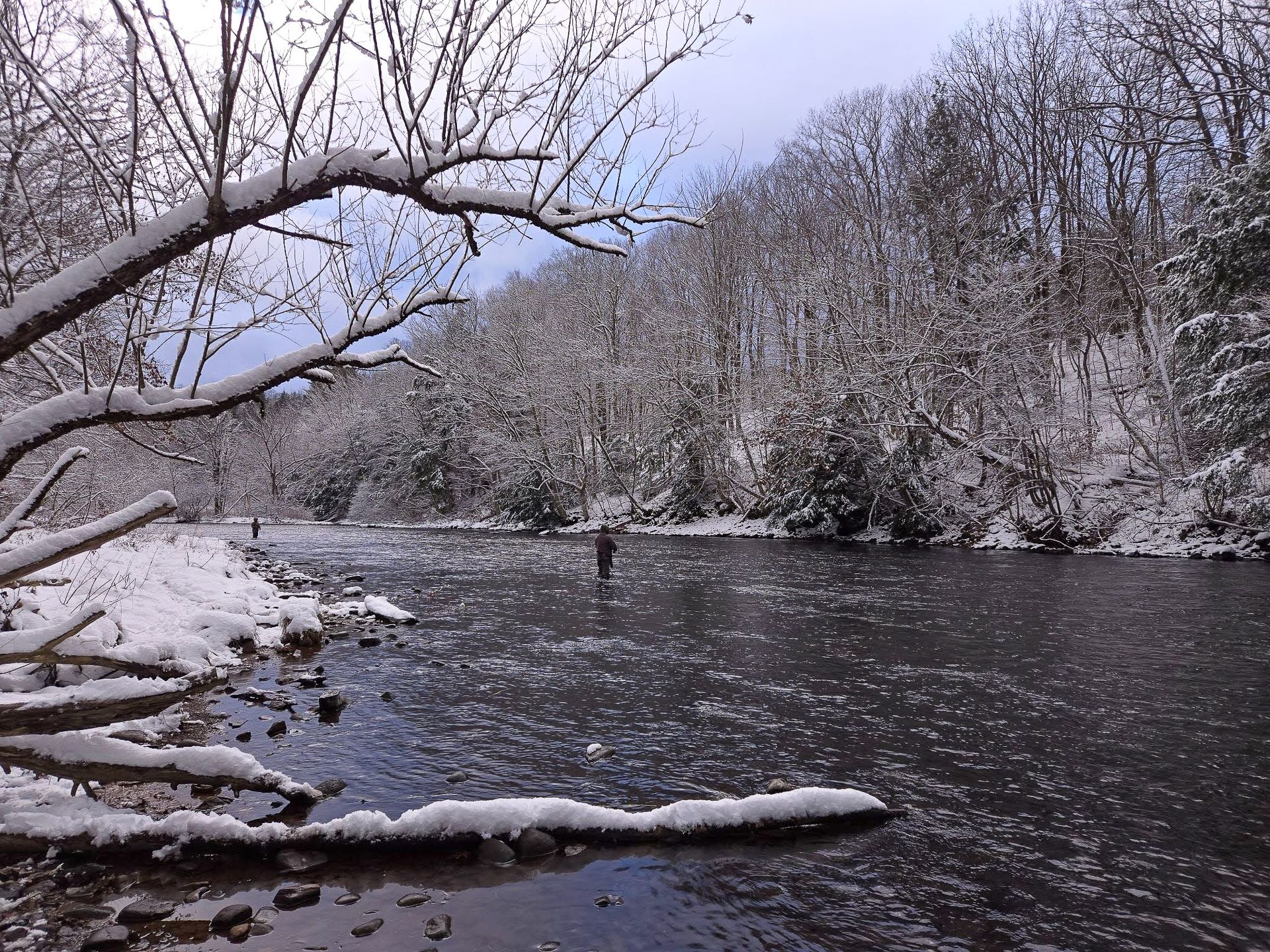 Snow-covered riverbank with bare trees and a dark flowing river in winter.