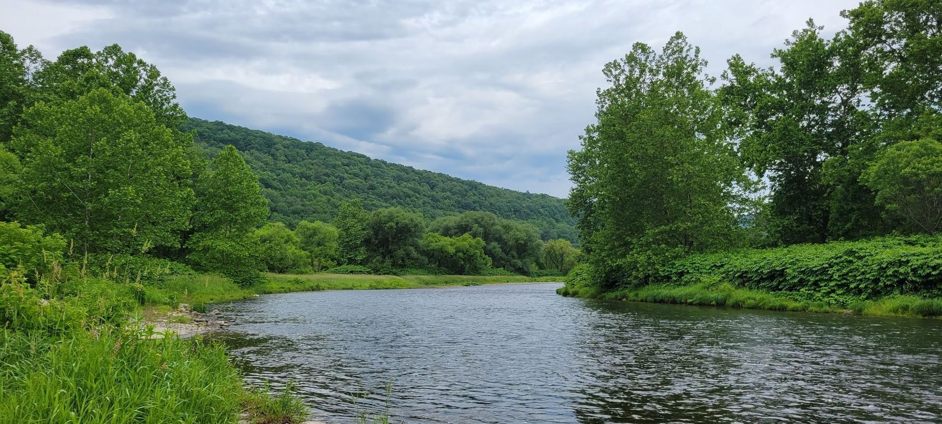 Calm river bordered by lush green trees with a forested hillside under cloudy skies