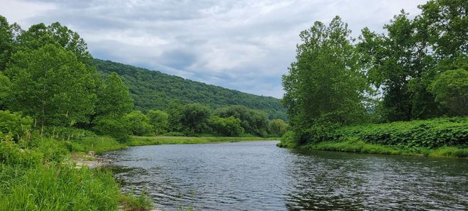 Calm river winding through lush green trees beneath a cloudy sky and forested hills