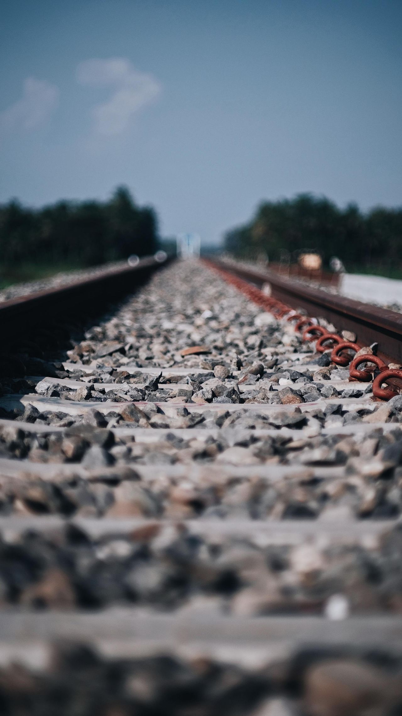 Rail