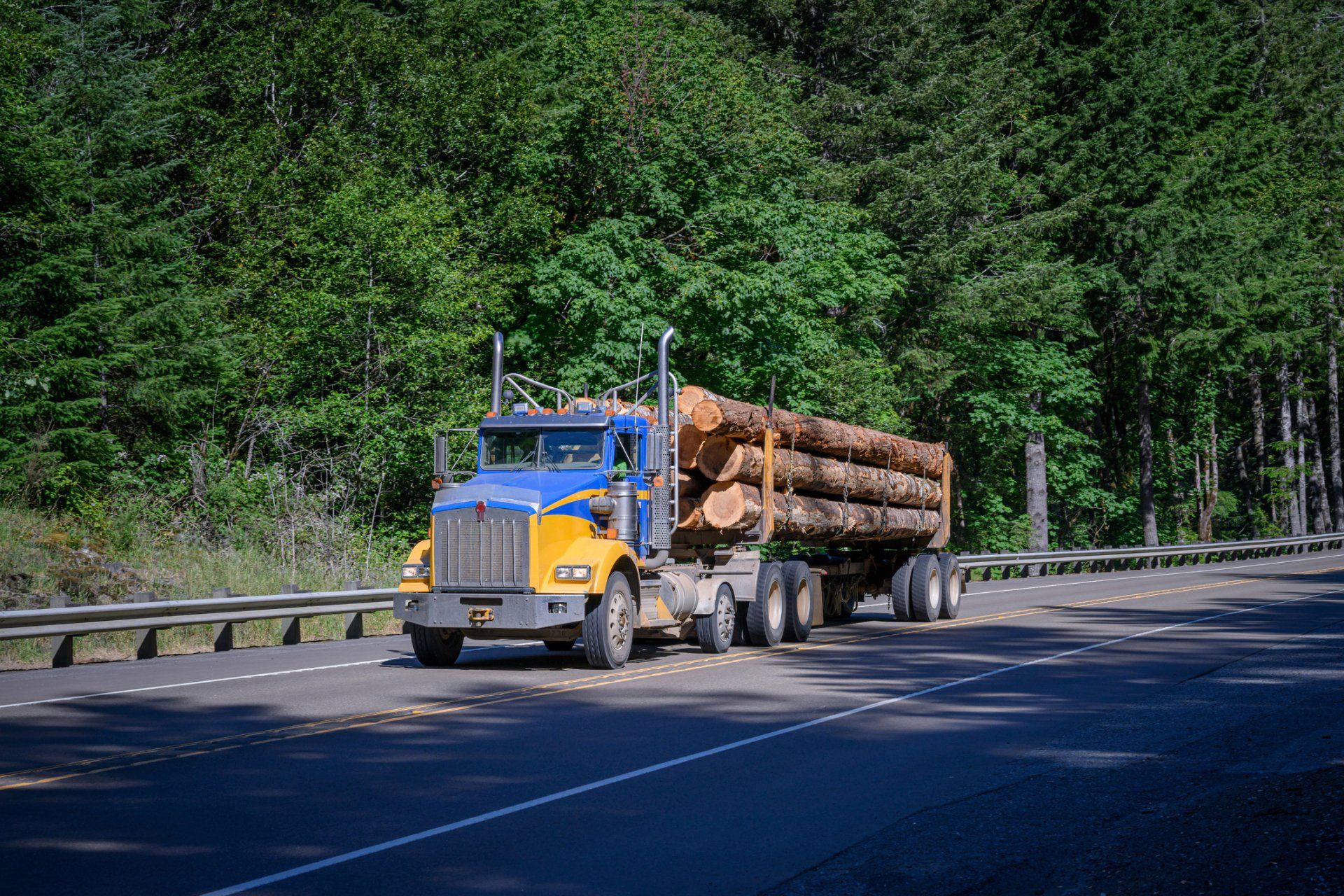 Logging Truck on Highway — Wadesboro, NC — Tyson Insurance Agency LLC