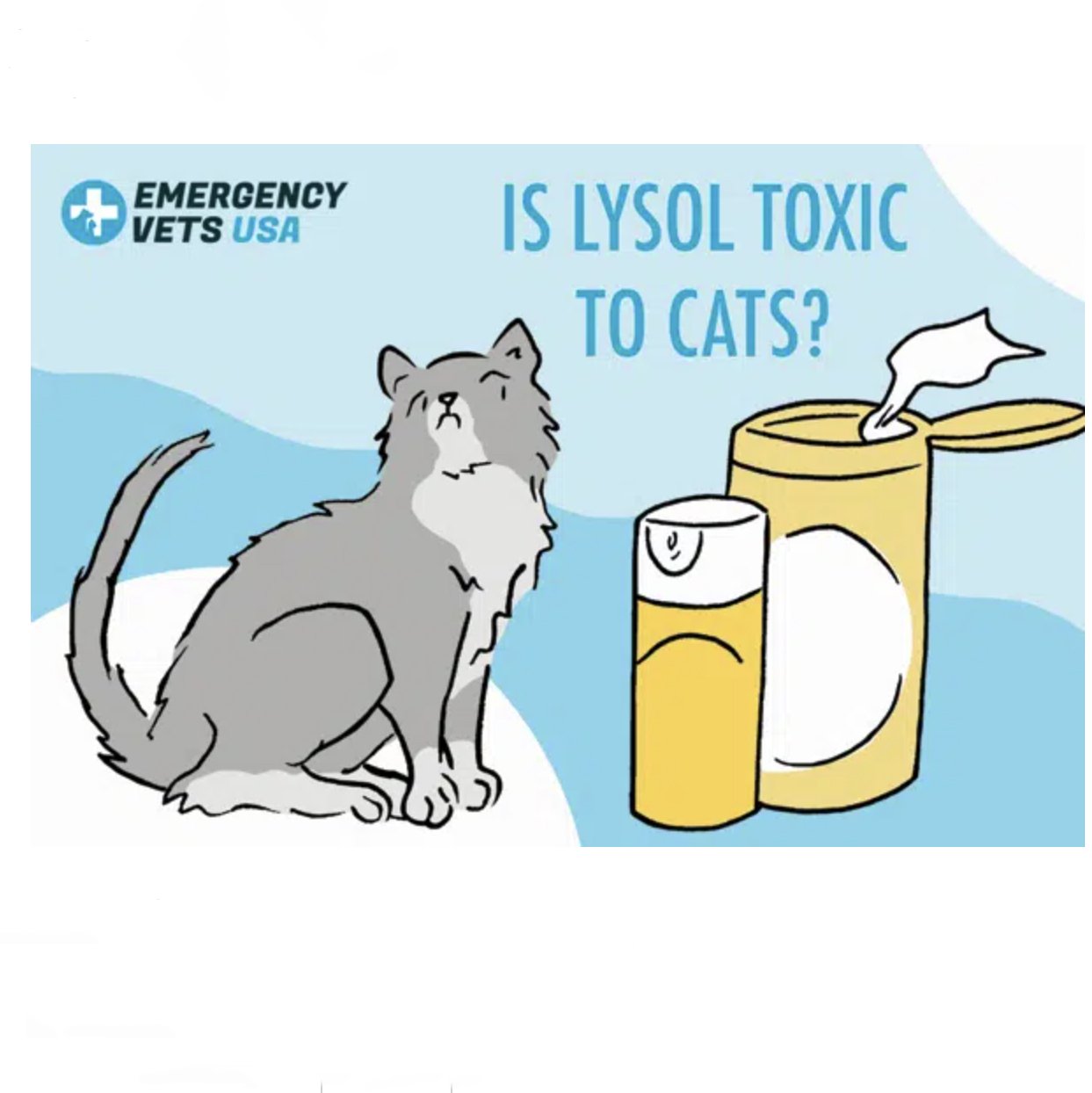 CLEANER HOME ITEMS Agekure Health Coaching