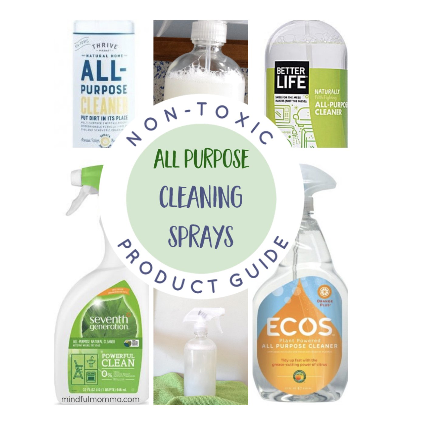 CLEANER HOME ITEMS Agekure Health Coaching