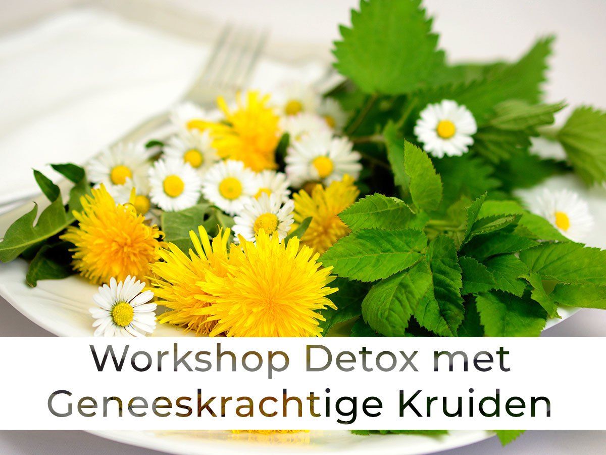 Workshop Detox met Geneeskrachtige Kruiden
