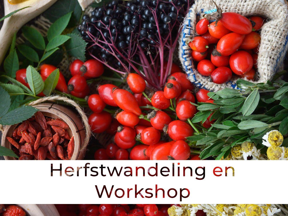 Tweedaagse cursus: Geneeskrachtige kruiden in de zwangerschap, bevalling & kraamtijd
