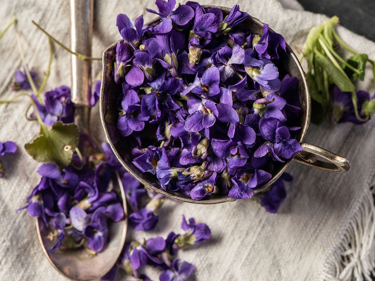 Viooltjes recepten, Viooltjes siroop