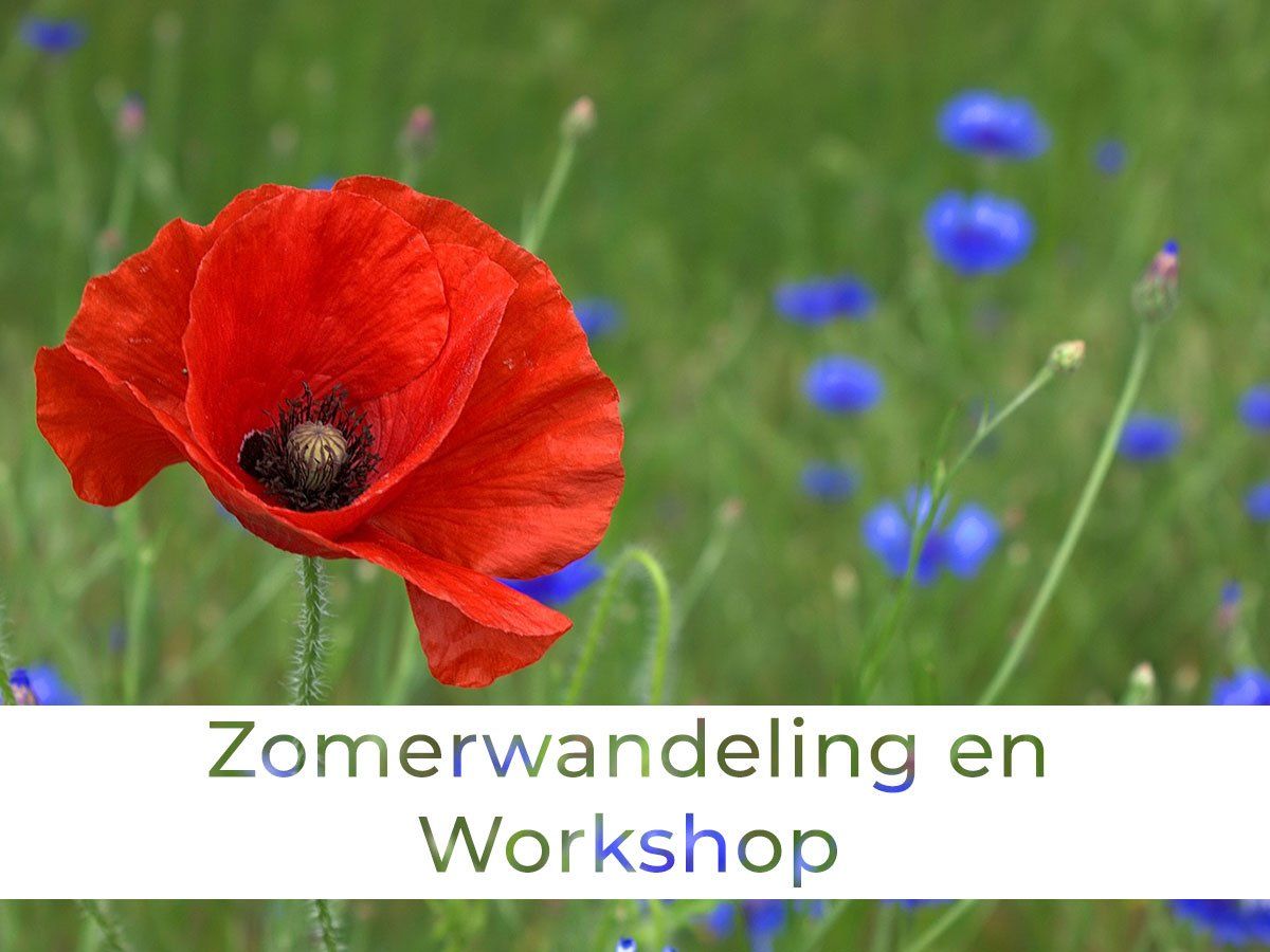 Tweedaagse cursus: Geneeskrachtige kruiden in de zwangerschap, bevalling & kraamtijd