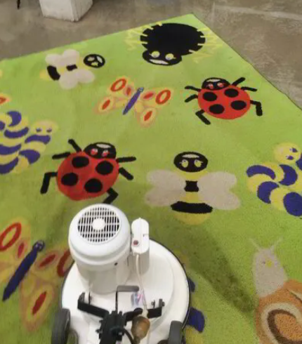 A green rug with animated bugs on it is getting cleaned  — Carpet Pro Care in Goonellabah, NSW