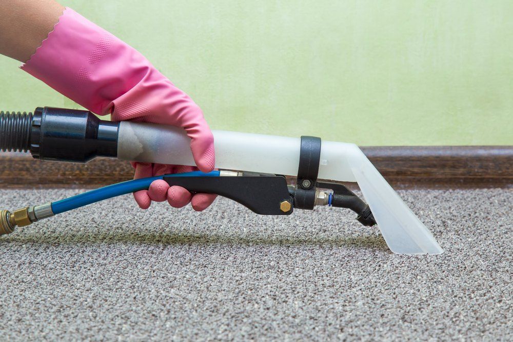 A Person is Cleaning a Carpet With a Vacuum Cleaner — Carpet Pro Care in Kyogle, NSW