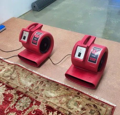Two Red Fans Are Sitting on a Rug on the Floor — Carpet Pro Care in Goonellabah, NSW