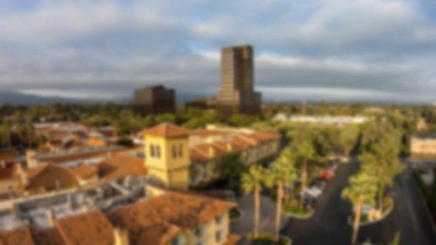 Aerial view of a city with palm-lined streets, low-rise buildings, and a tall tower under a cloudy sky