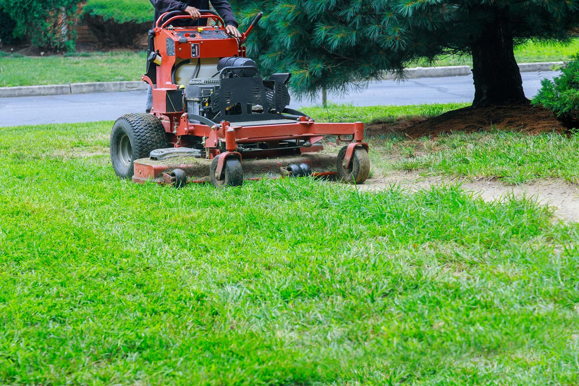 A person on a red riding lawnmower cuts grass in a yard with a tree and bushes nearby.
