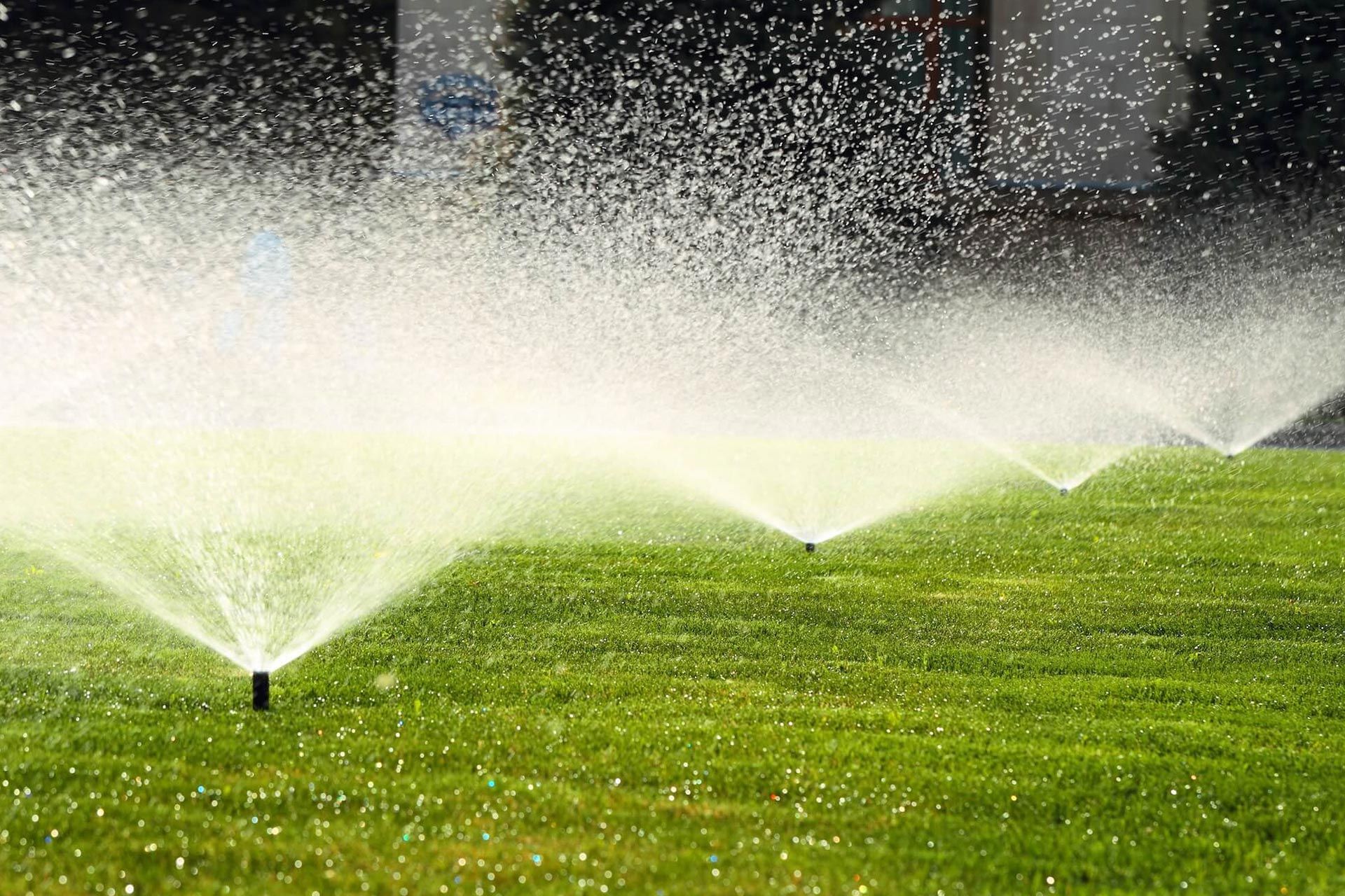 Sprinklers watering a green lawn, spraying water into the air.