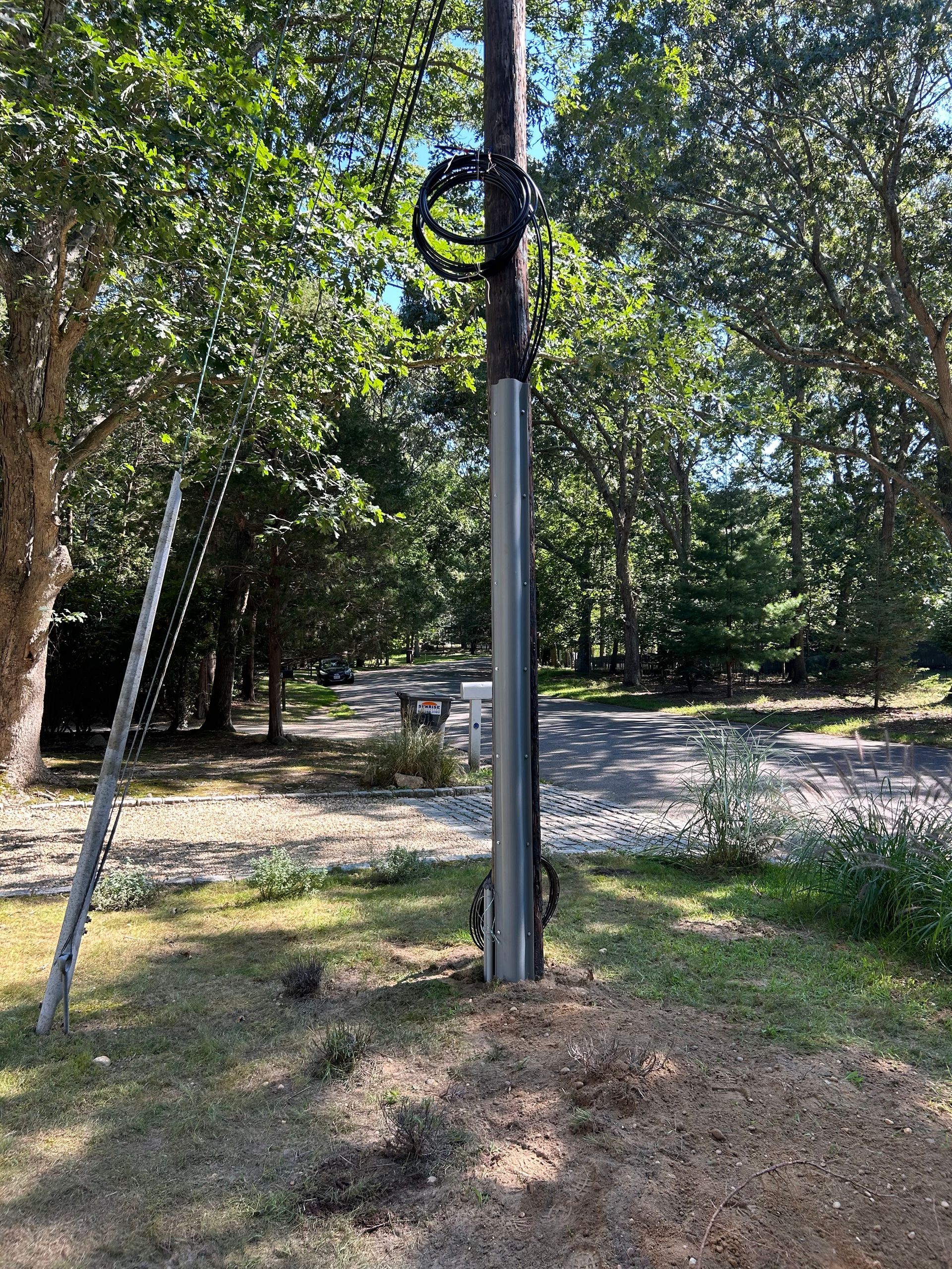 A pole with a ladder attached to it is in the middle of a yard.