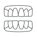 Contour des dents supérieures et inférieures, montrant les dents de devant visibles dans un dessin au trait simple.