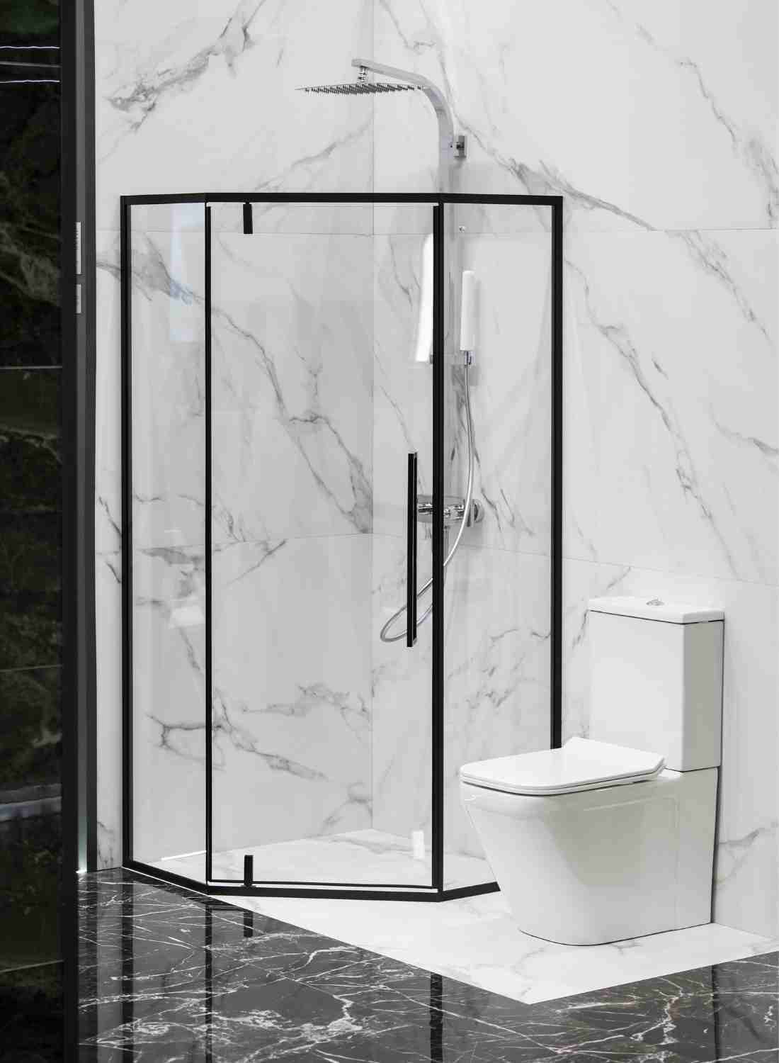 cambiar baño por ducha