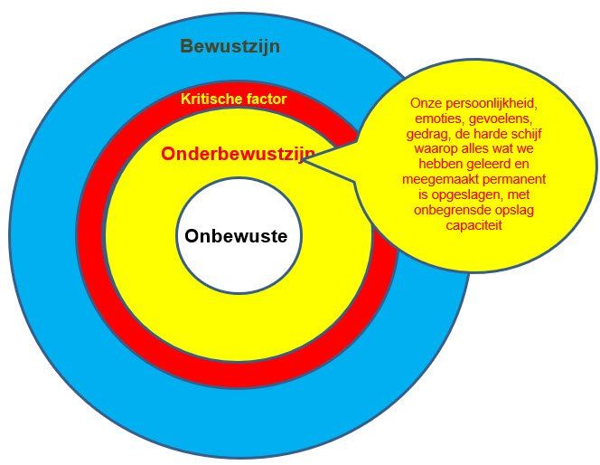 Diagram of consciousness levels