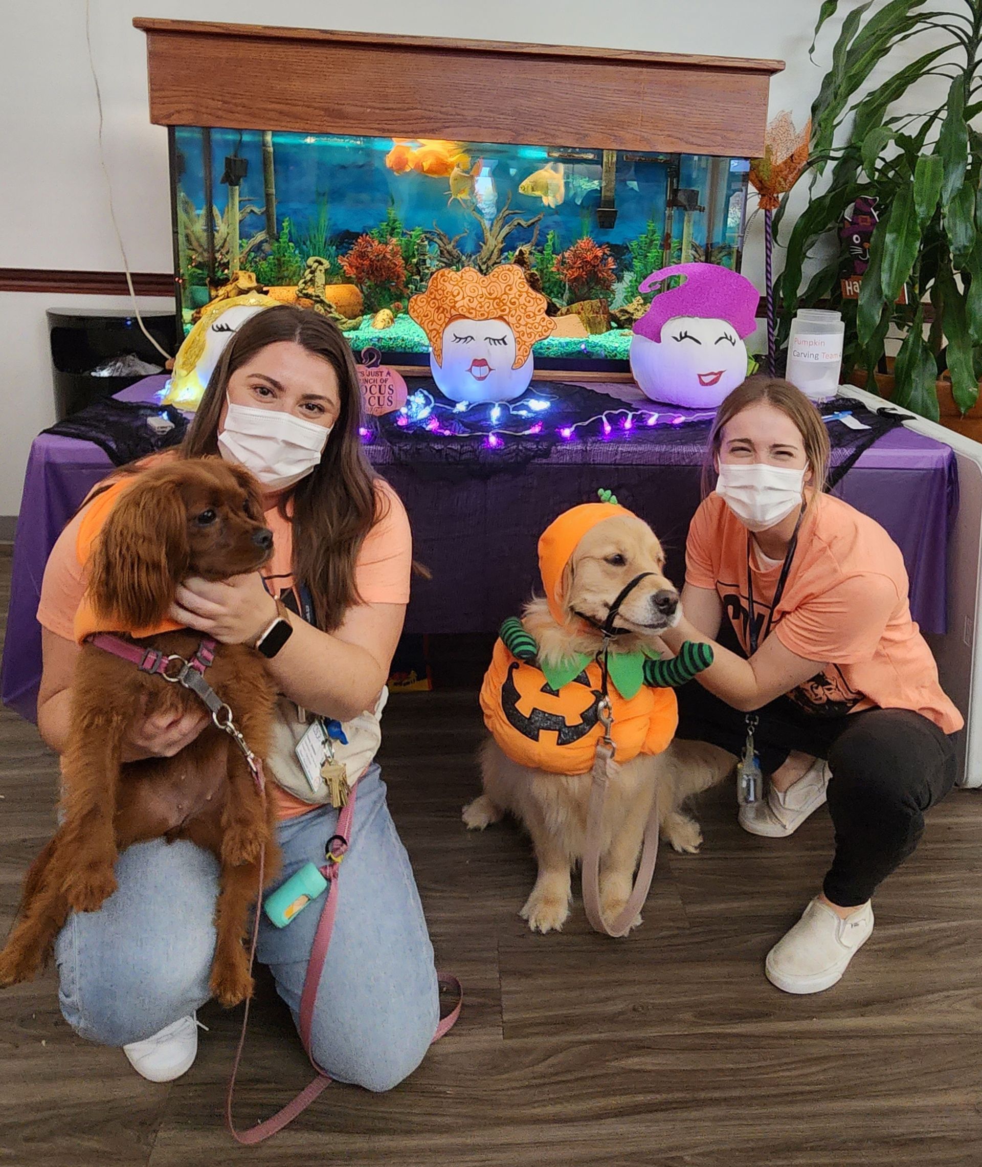 Two women and two dogs wearing halloween costumes are posing for a picture.