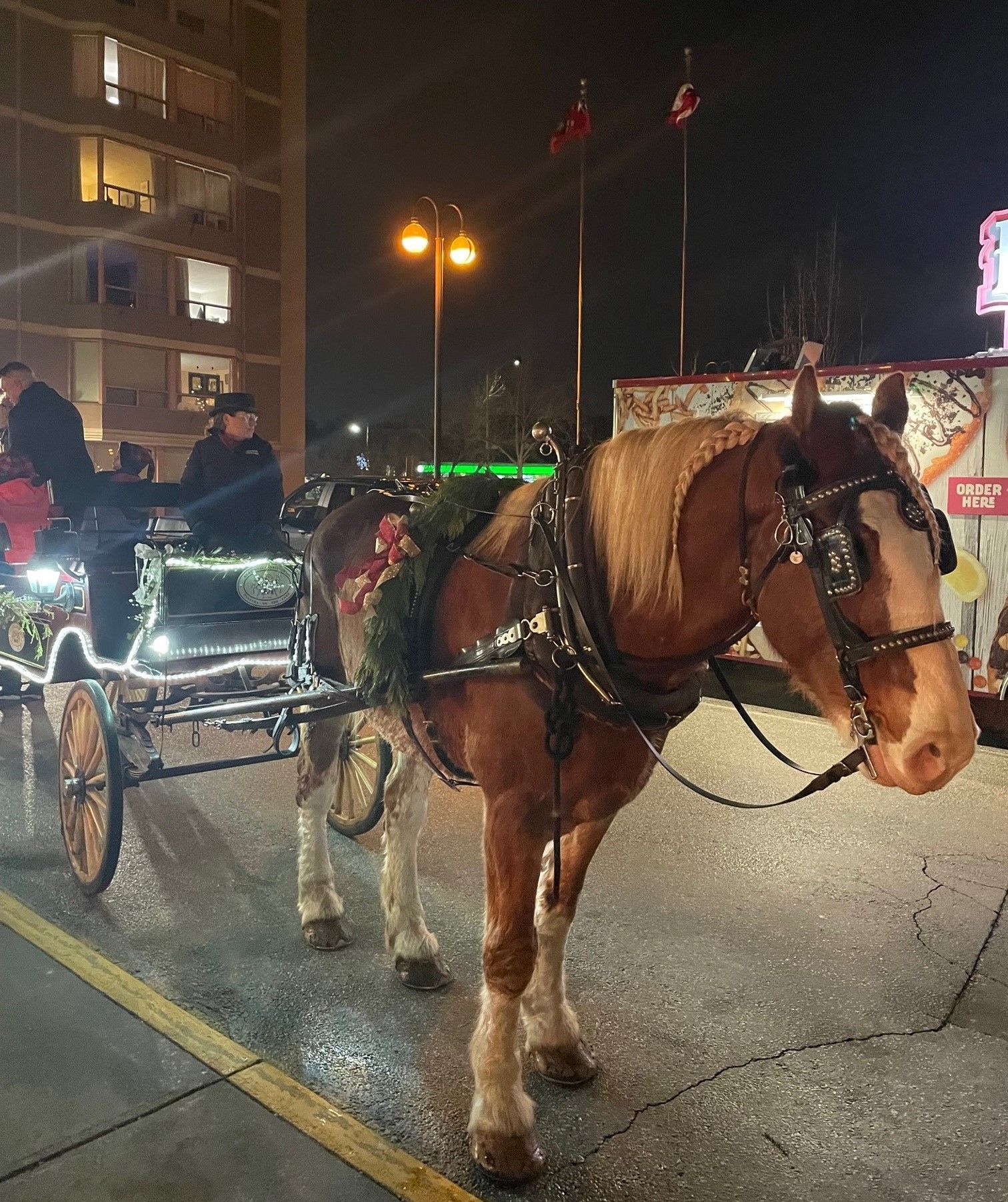 A horse pulling a carriage down a street at night