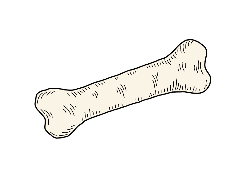 bone1