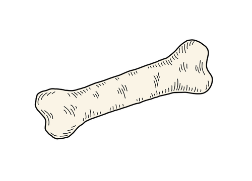 bone