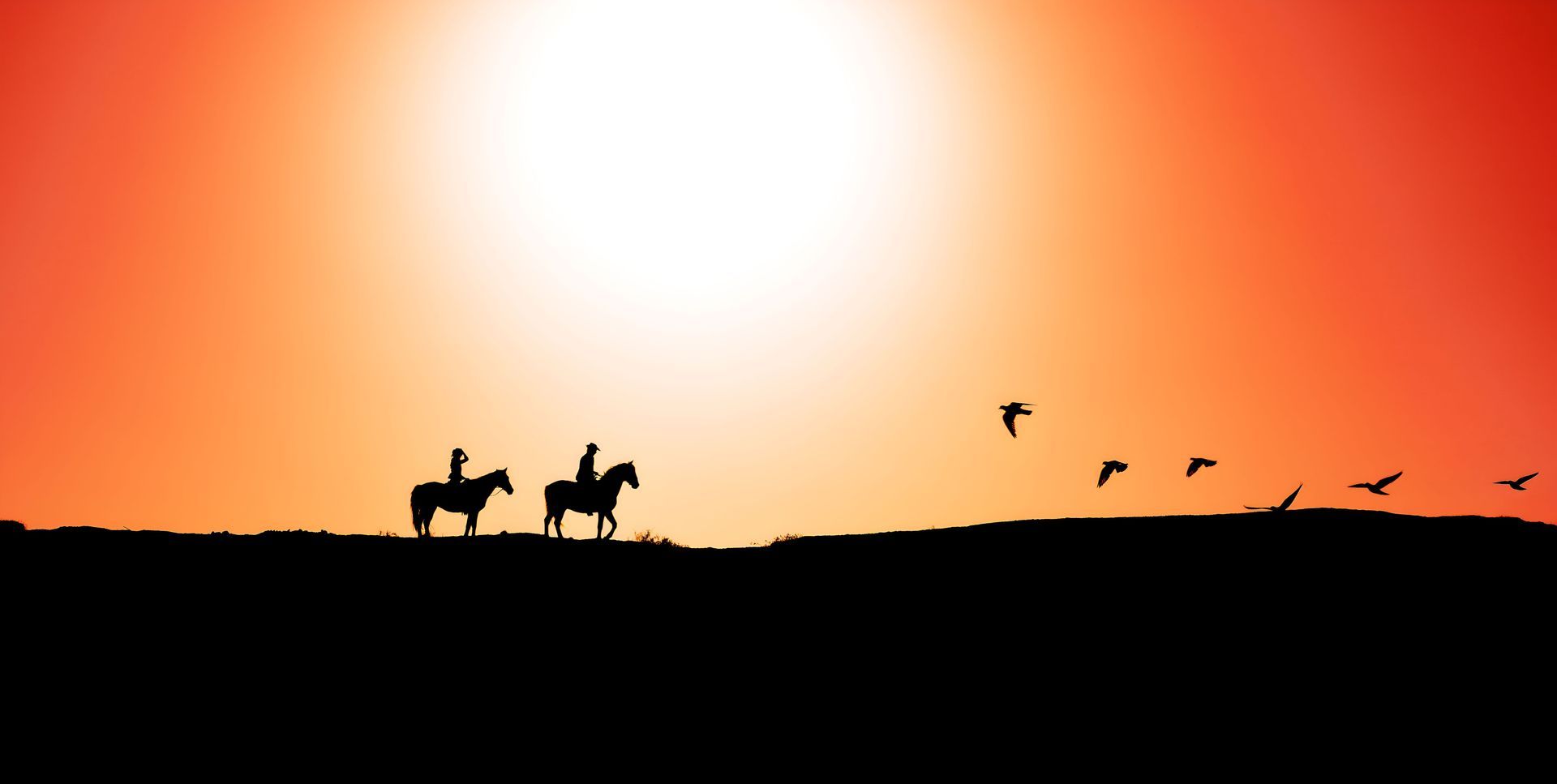 Two People Riding Horses At Sunset With Birds Flying In The Background — Shellie's Country Wear In Gloucester, NSW