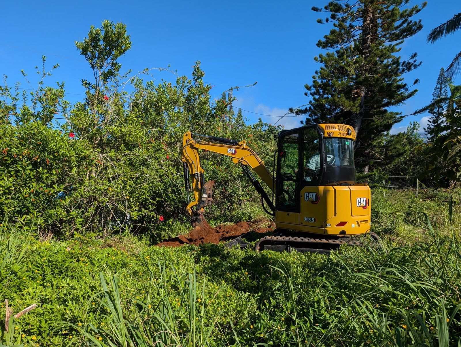 Yellow excavator clearing brush in a grassy field under a blue sky