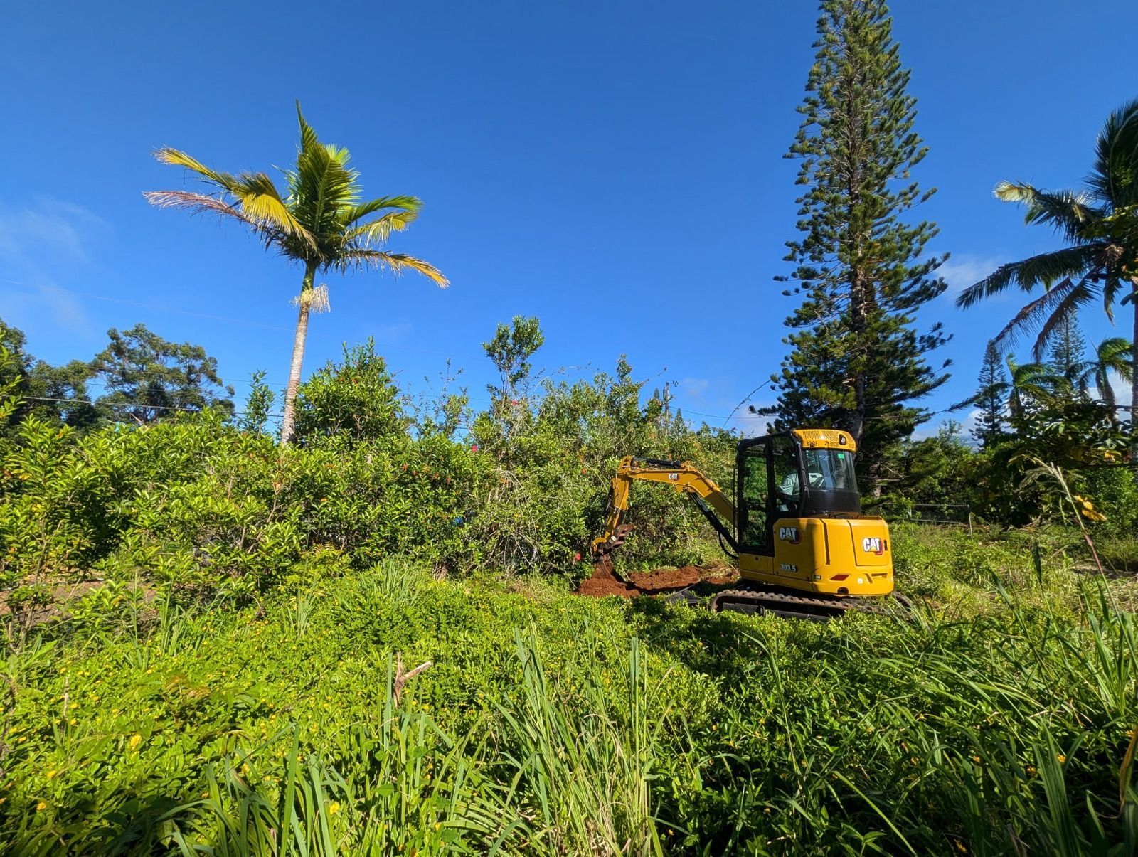 Yellow excavator clearing brush in a lush tropical field under a bright blue sky