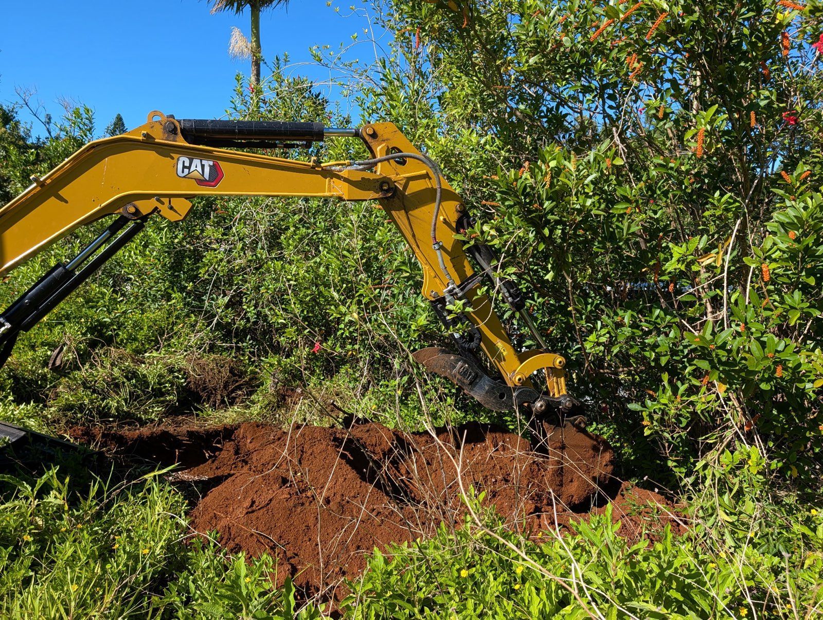 Yellow excavator digging dirt beside green trees and brush