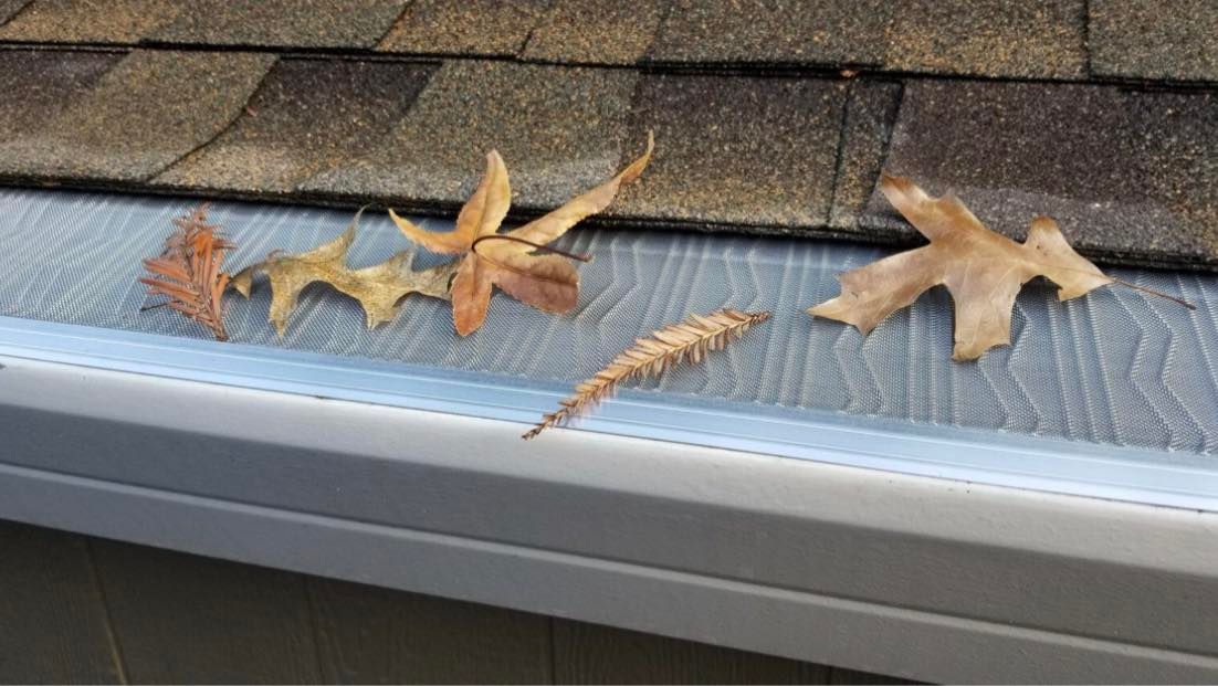 Leaves and debris on a gutter guard installed on a roof.