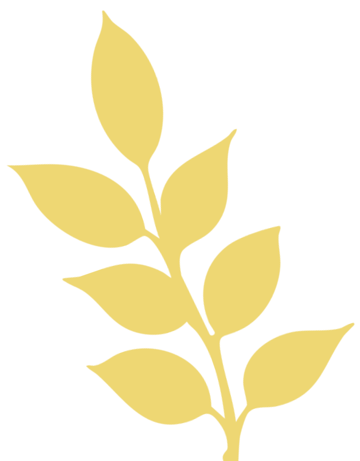 Yellow leafy branch.