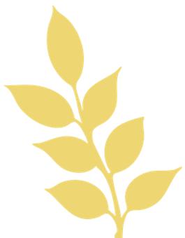 Yellow leafy branch.