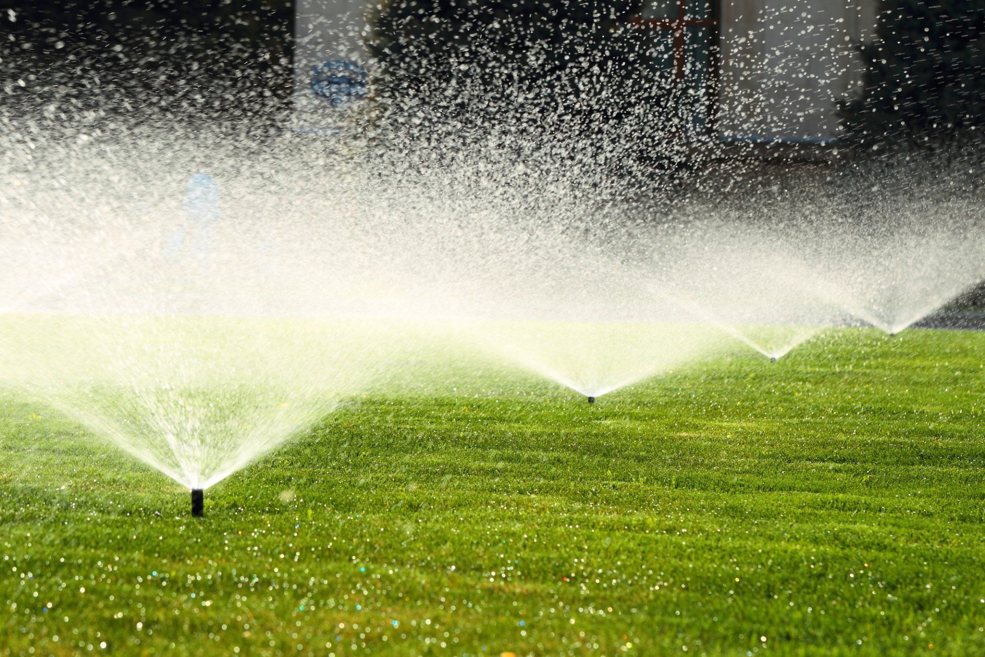 SPRINKLER PROFESSIONALS IN PARIS, TX SPRINKLER PROFESSIONALS IN PARIS, TX
