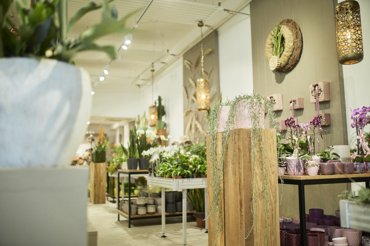 Blumen Engele Innenbereich