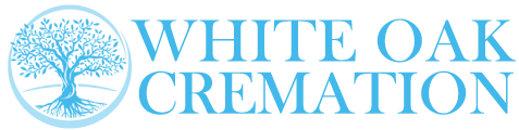 logo-image