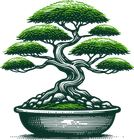 Bonsai tree with green leaves in a dark green pot; stylized illustration.