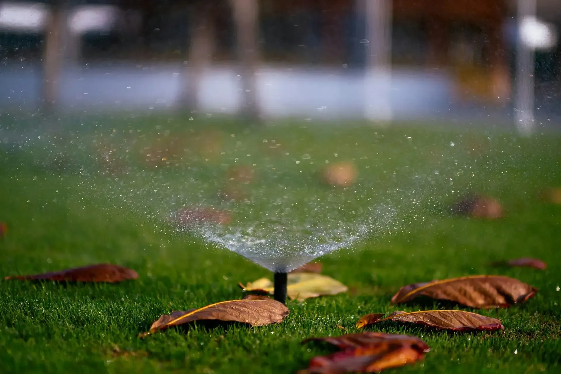 Sprinkler spraying water on green grass with fallen brown leaves.
